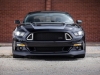 2015 Ford Mustang RTR-10