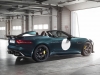 Jaguar F-Type Project 7-7