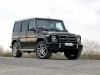 Mercedes G63 AMG by Posaidon-1