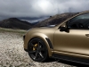 Porsche Cayenne Vantage Gold by TOPCAR-8