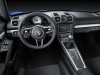 Porsche Cayman GT4-9
